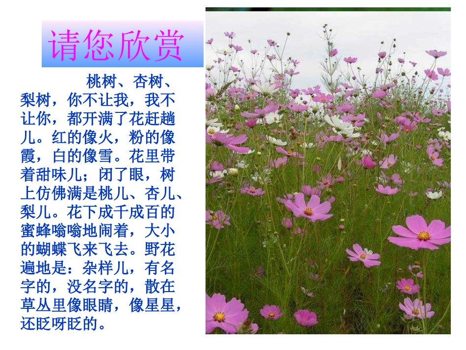 高中作文指导课件：记叙文中的景物描写_第3页