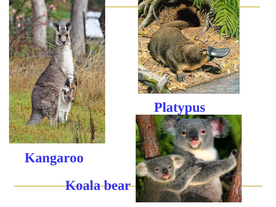 高一英语必修一Module3：My_First_Ride_on_a_Train1_第3页