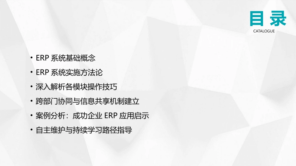 从入门到精通：2024年ERP系统培训教程_第2页
