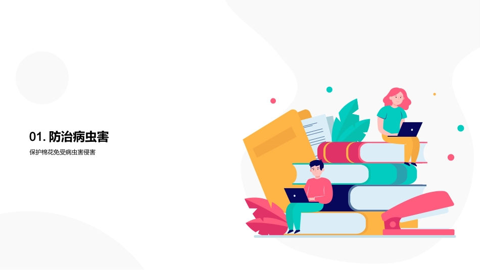 高效种植：棉花新技术-优化产质量，减少病虫害风险_第3页