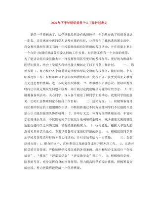 2020年下半年组织委员个人工作计划范文
