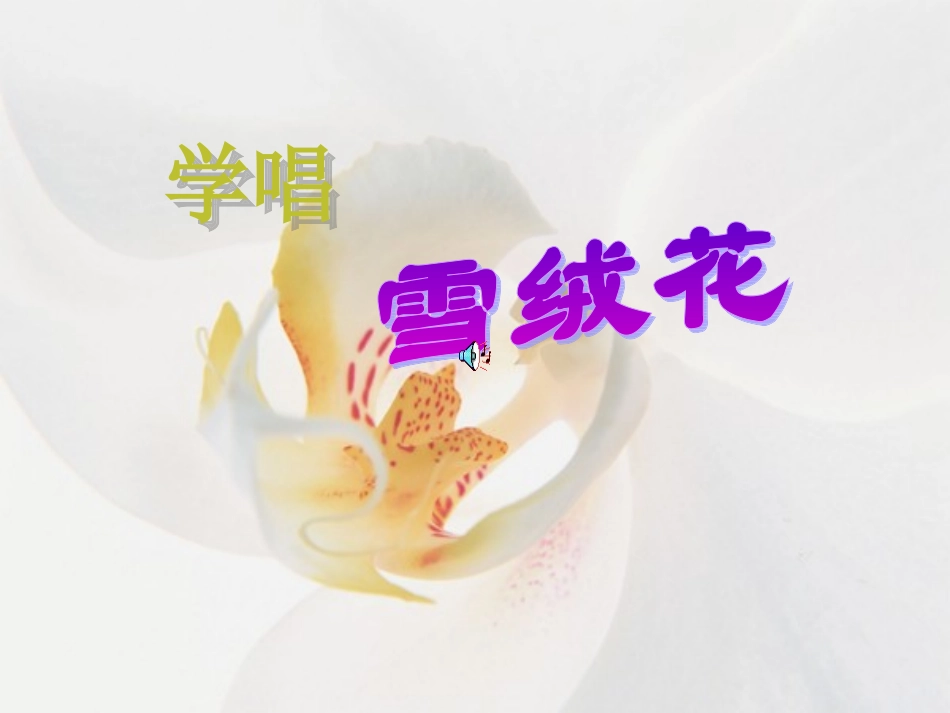 雪绒花 (2)_第1页