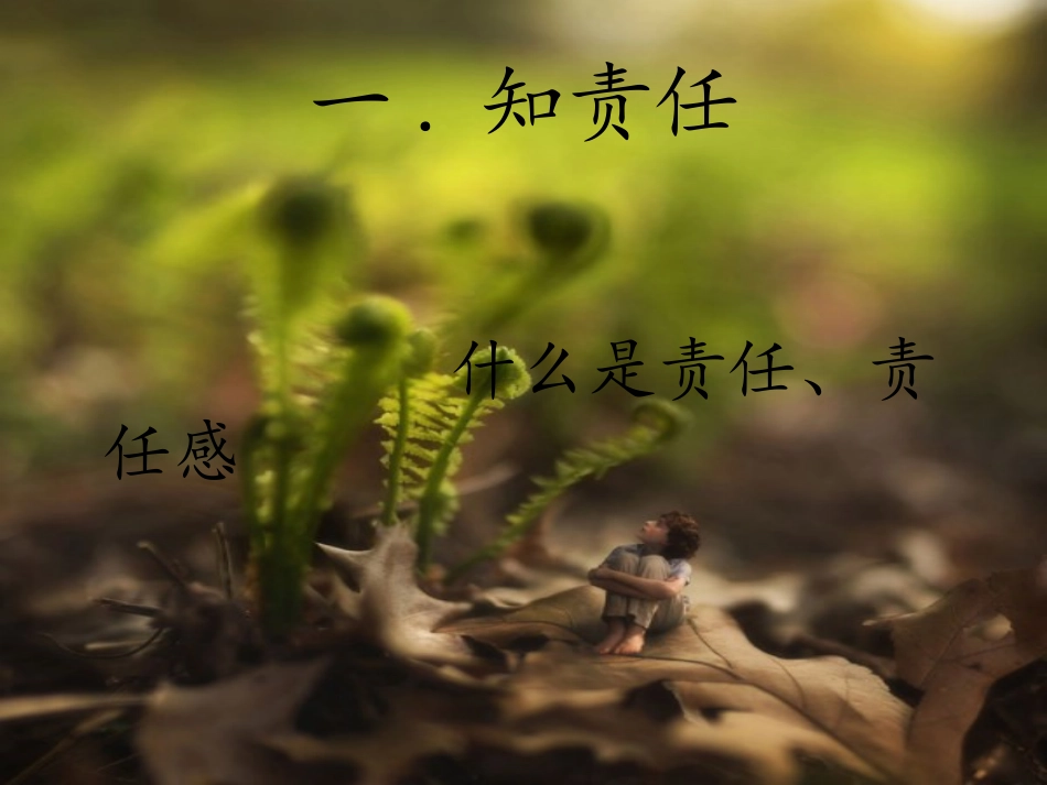 集体备课——我的责任_第2页