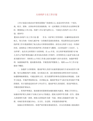 大内科护士长工作计划