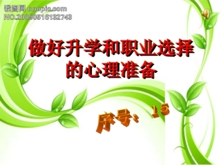 陕教版九年级第二课第三框+做好升学和职业选择的心理准备（共19张PPT）