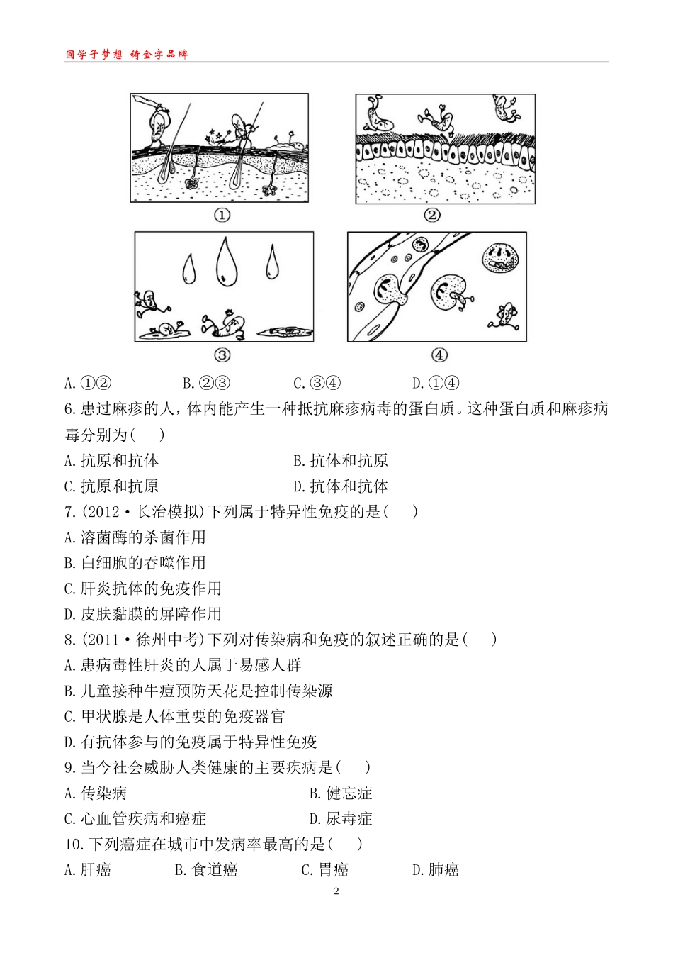 阶段评价检测(四)单元评价检测(四)_第2页