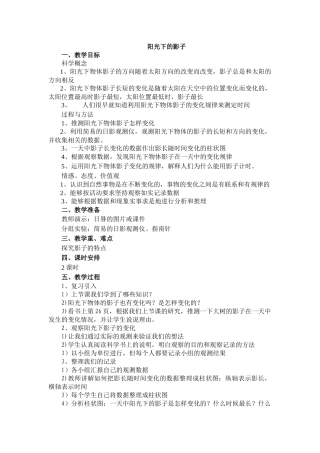 阳光下的影子