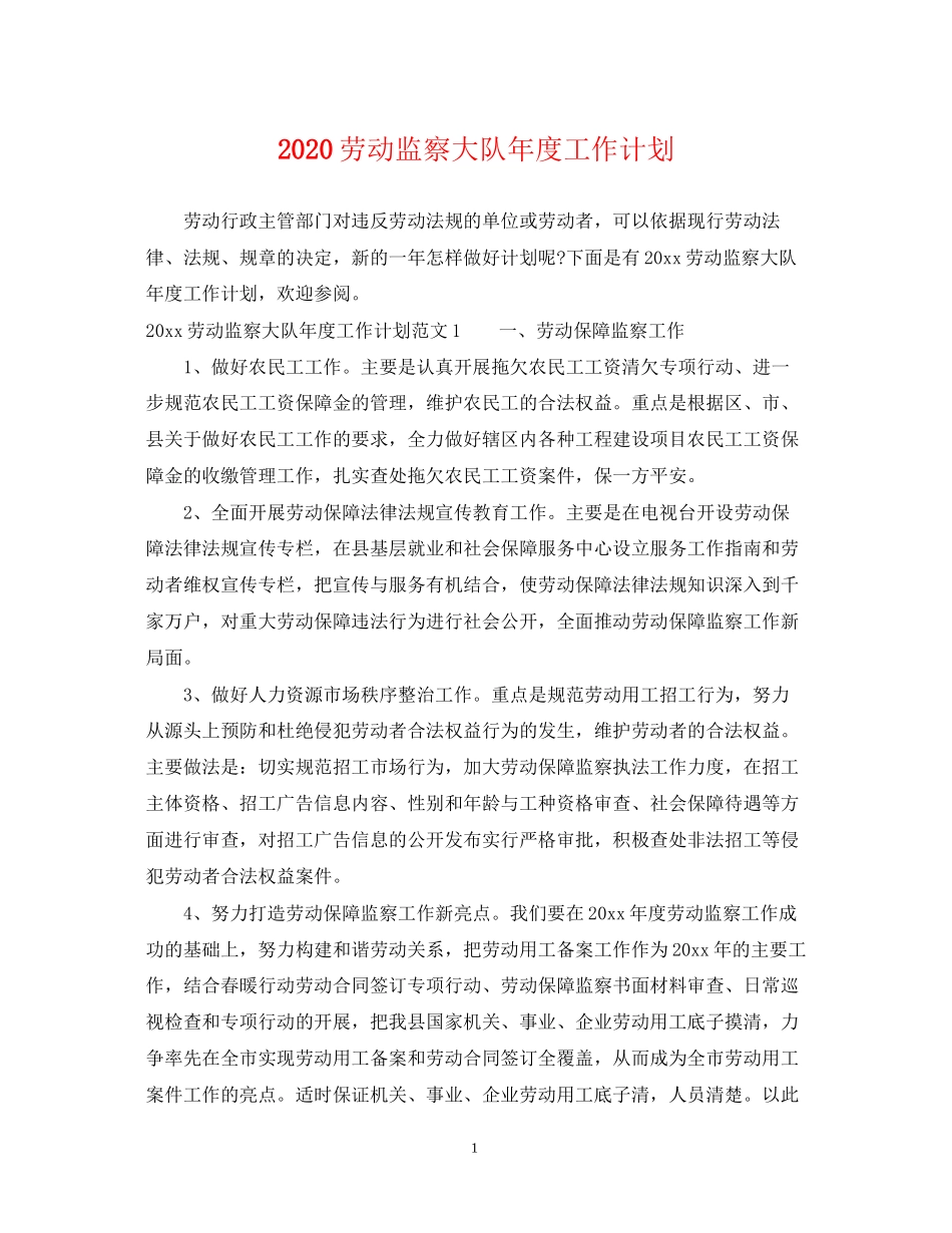 劳动监察大队年度工作计划_第1页
