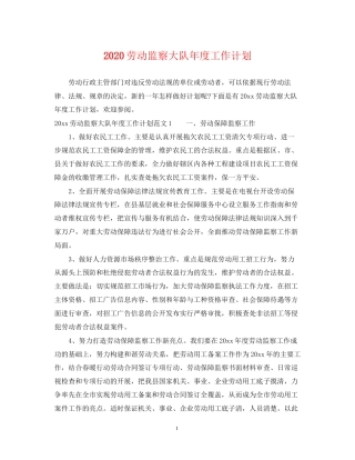 劳动监察大队年度工作计划