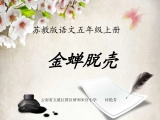金蝉脱壳课件