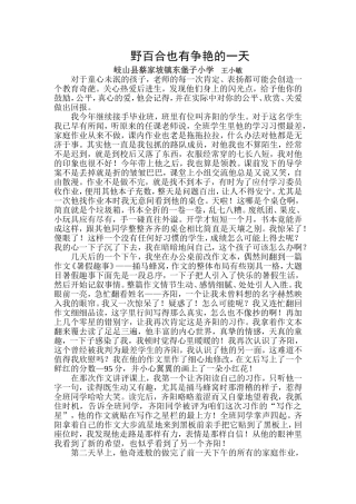 野百合也有争艳的一天