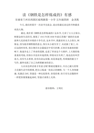金圣凯读钢铁是怎样炼成的有感