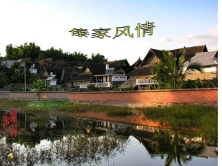 金孔雀轻轻跳一