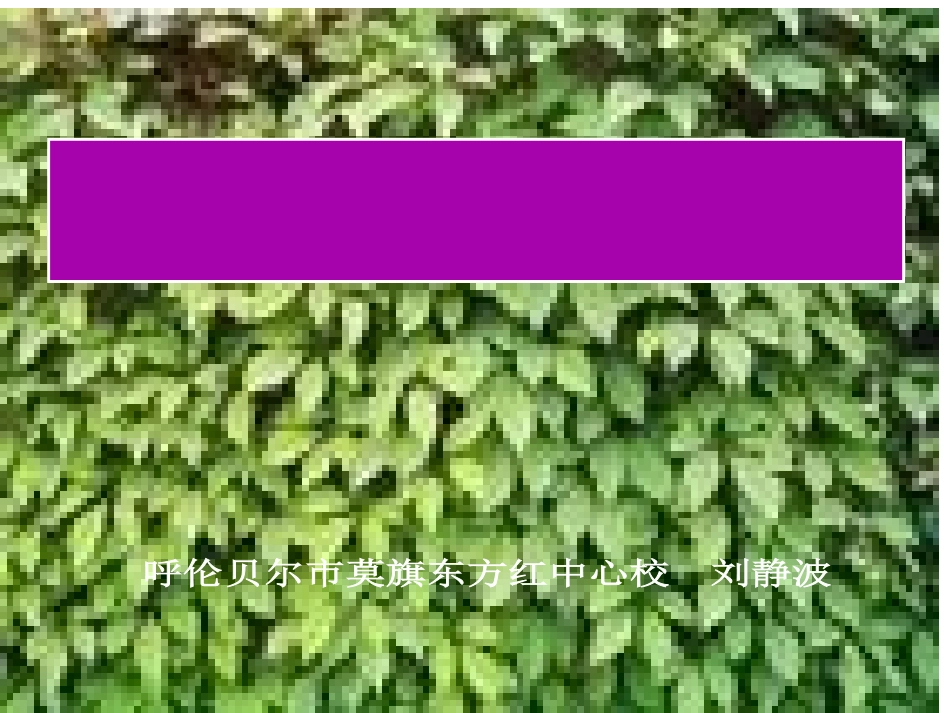 那片绿绿的爬山虎课件_第1页