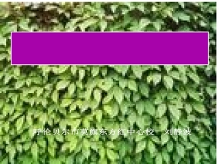 那片绿绿的爬山虎课件
