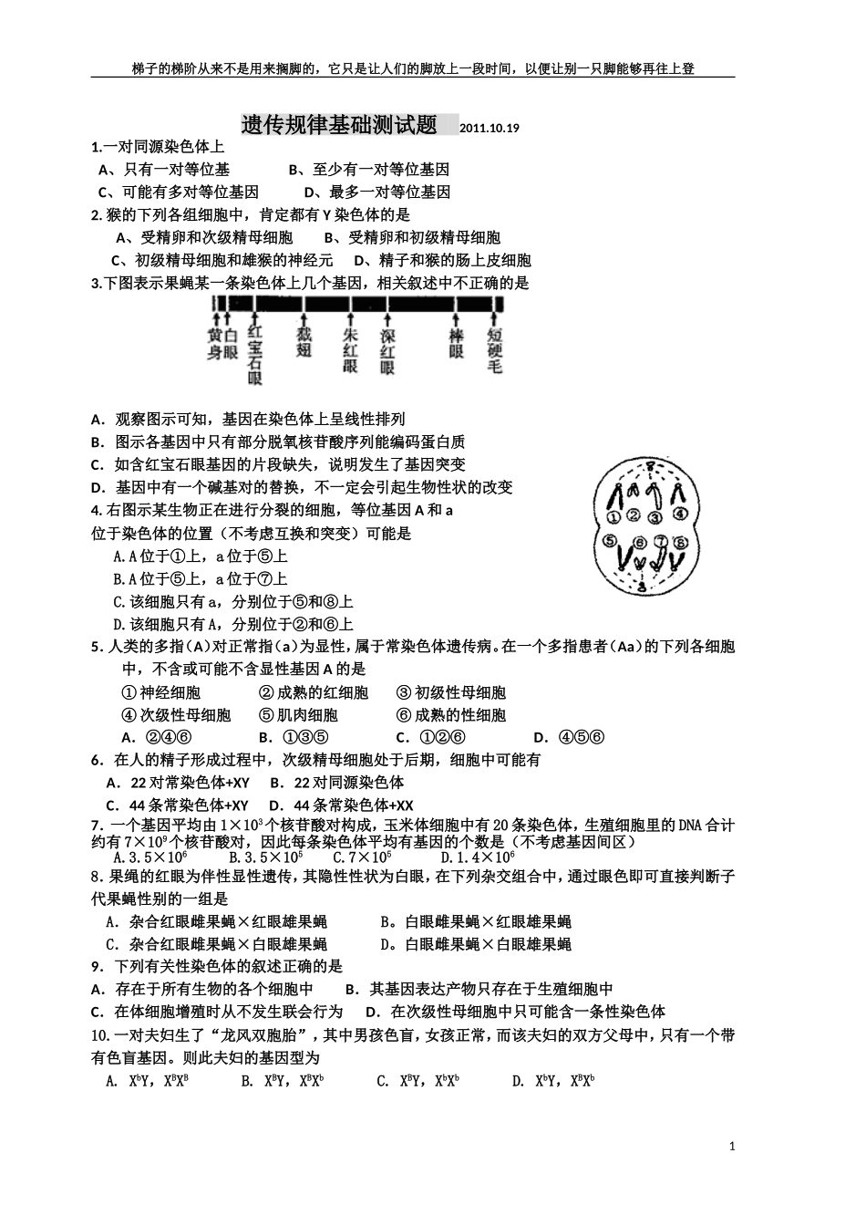 遗传规律测试题[1]_第1页