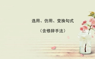 选用变换句式