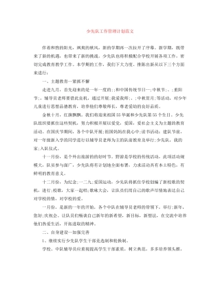 少先队工作管理计划范文