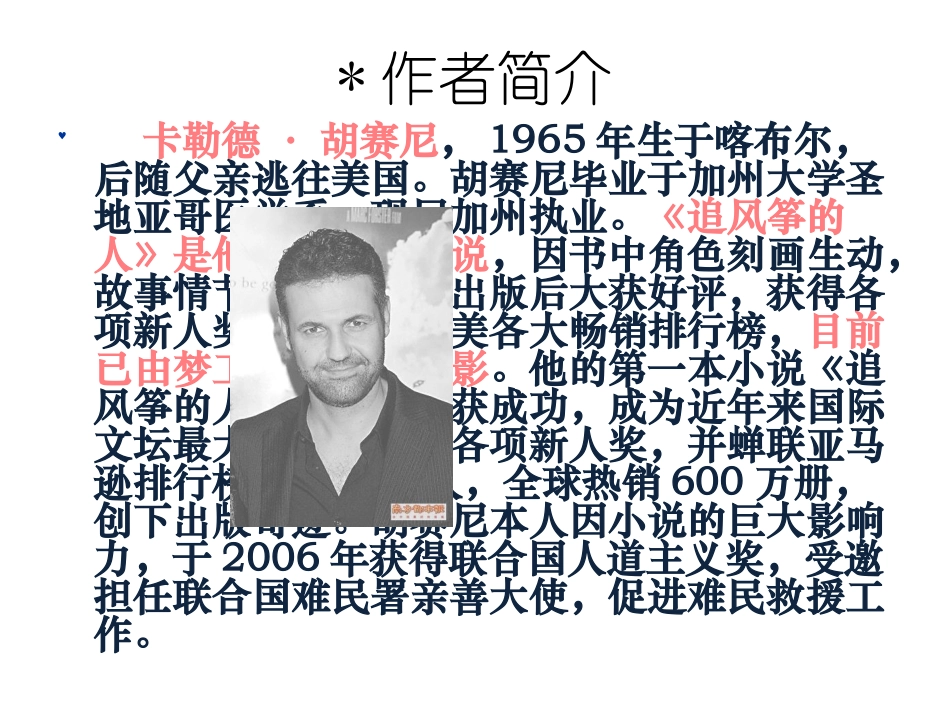 追风筝的人_读书报告_第2页