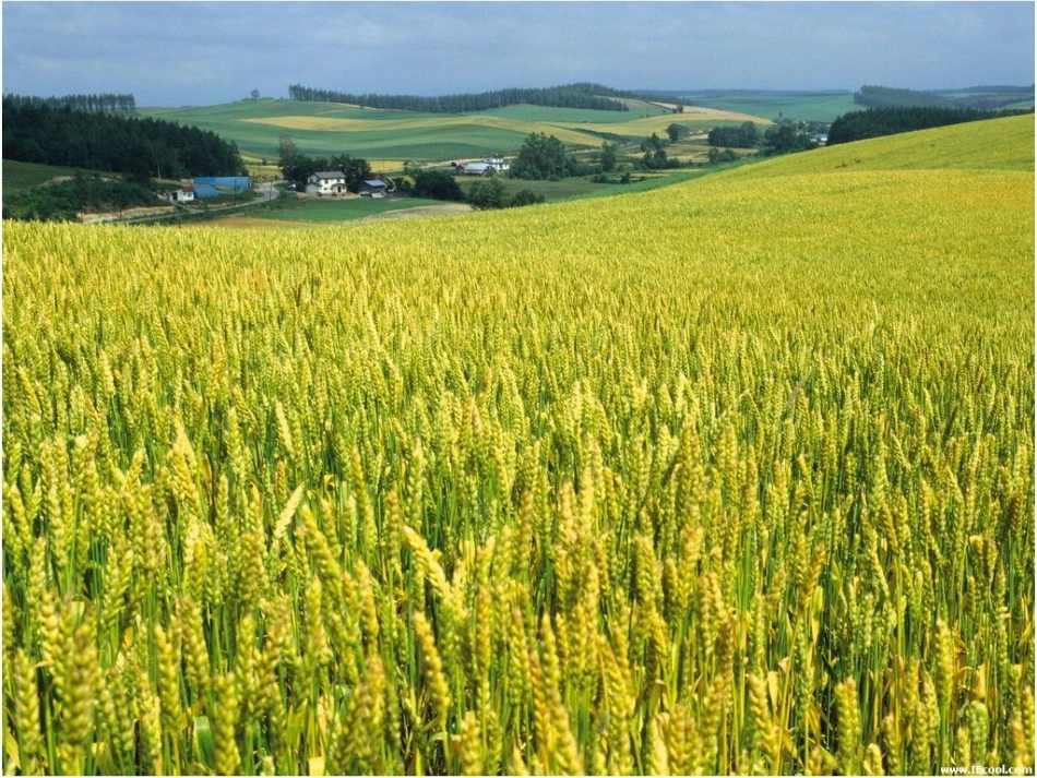 连加连减靳爱霞_第3页