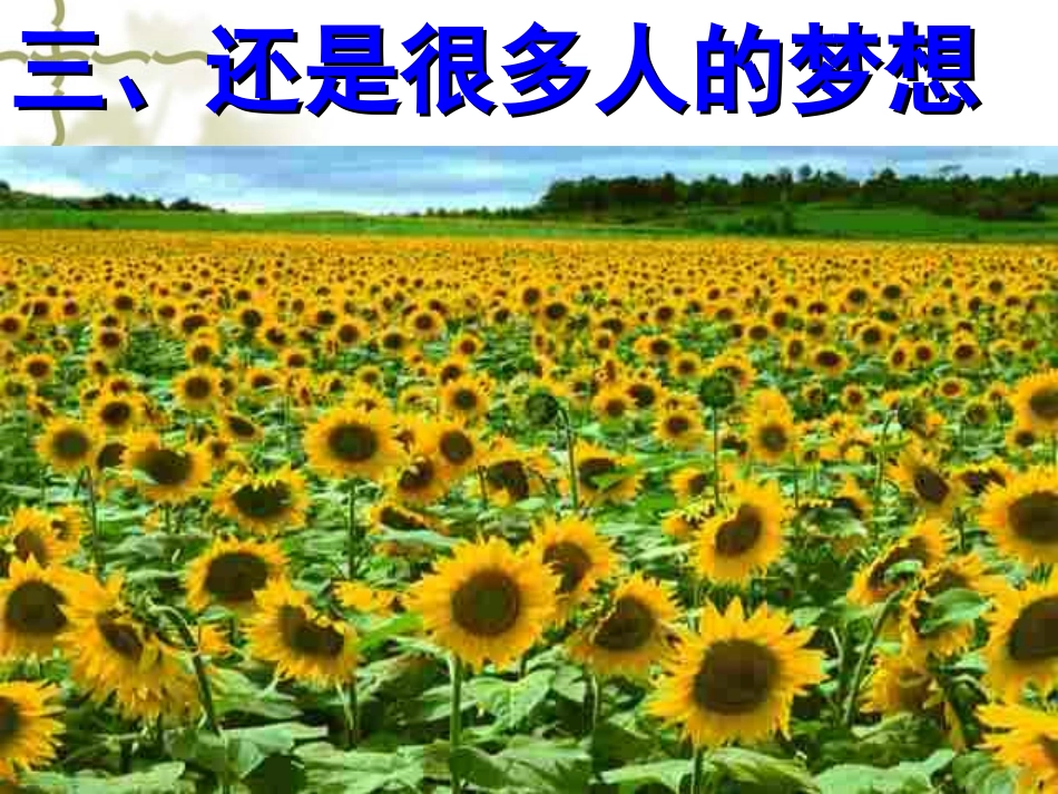 还是很多人的梦想_第1页