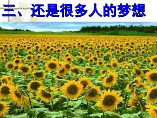 还是很多人的梦想