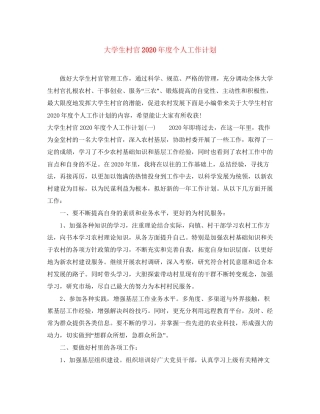大学生村官年度个人工作计划