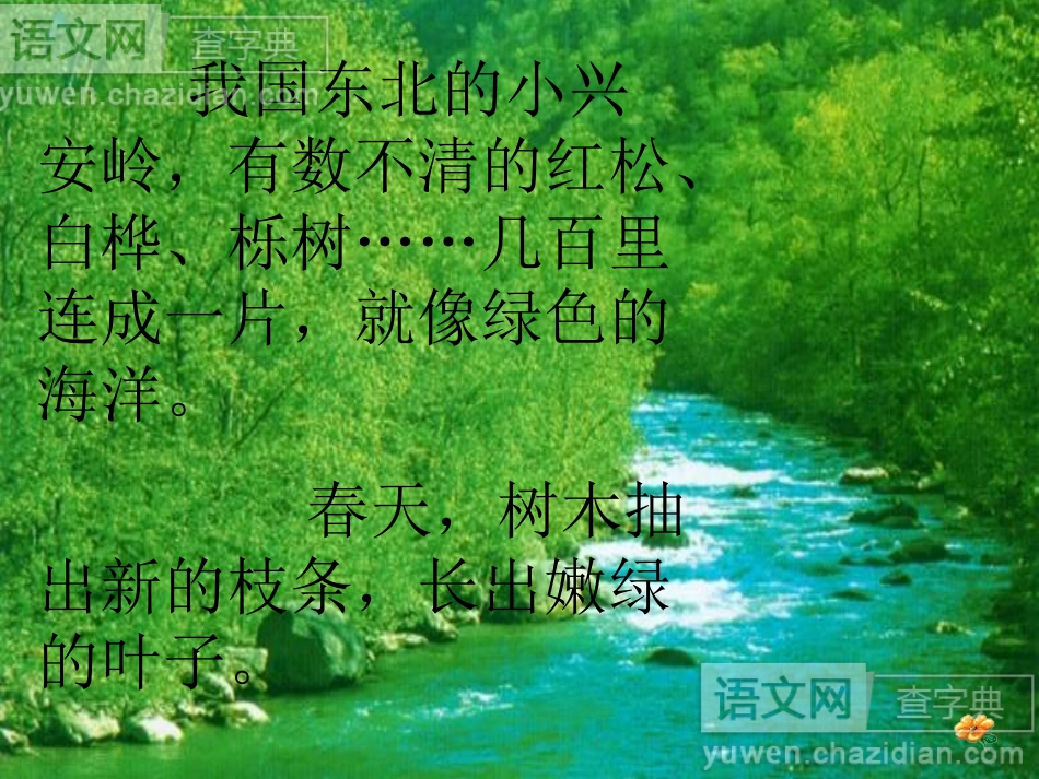 转载：美丽的小兴安岭_第2页
