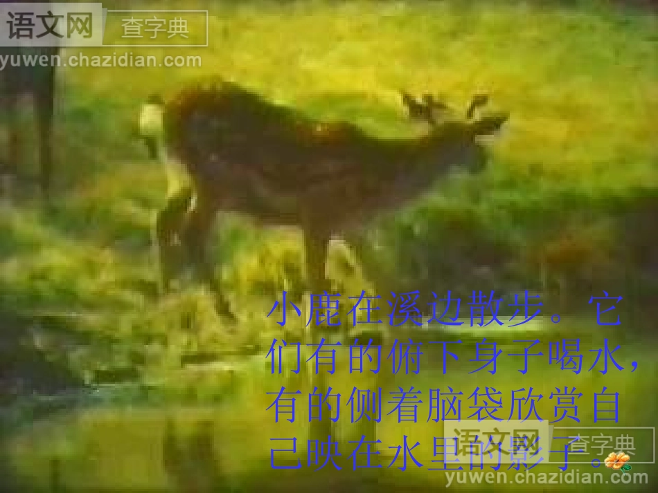 转载：美丽的小兴安岭_第3页