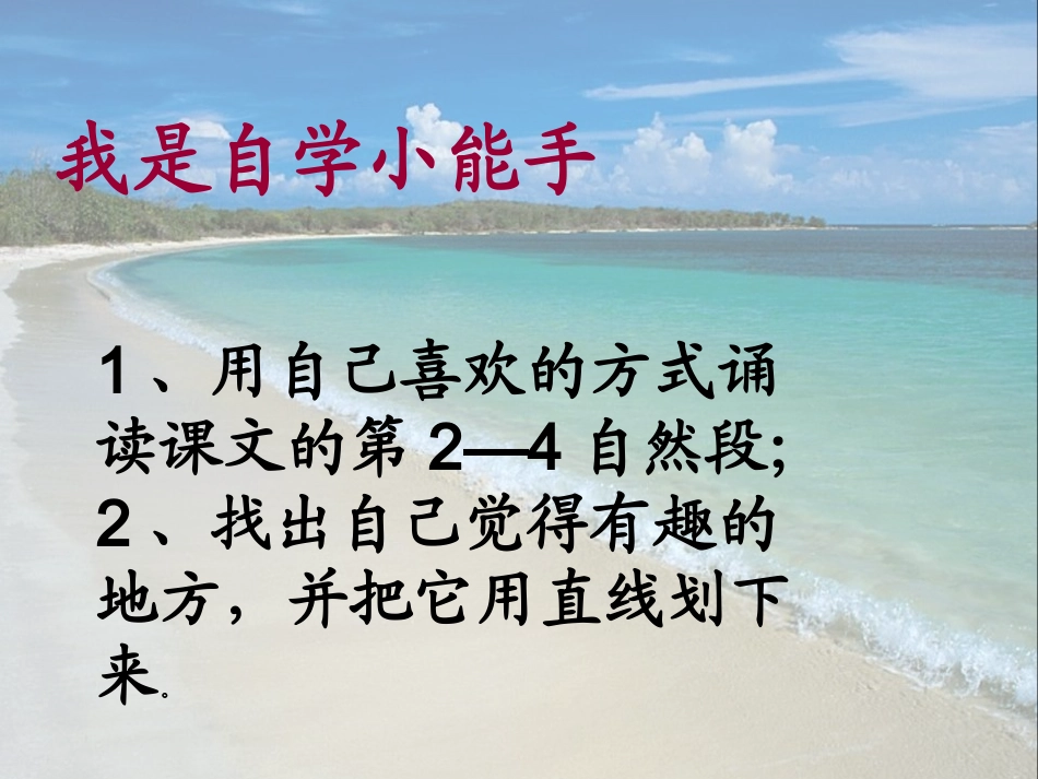 赶海课件(上)_第3页