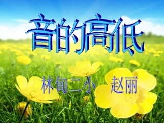 赵丽《音的高低》课件