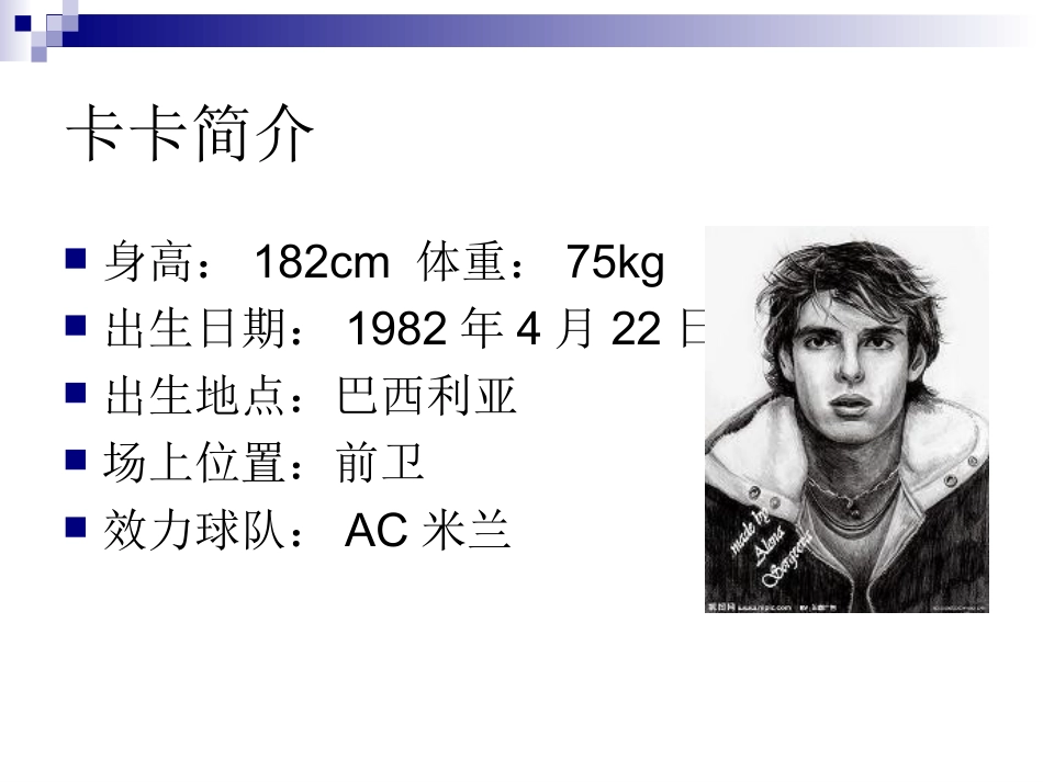 足球世界里的明星_第3页