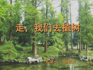 走，我们去植树（课件）