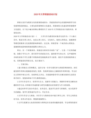 2020年大学班级活动计划