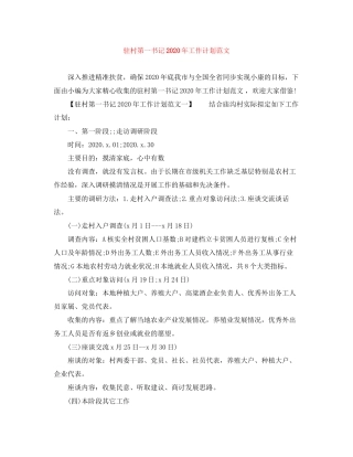 驻村第一书记年工作计划范文