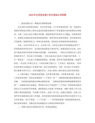 2020年公司党支部工作计划怎么写范例