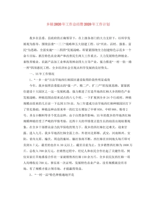 乡镇年工作总结暨年工作计划