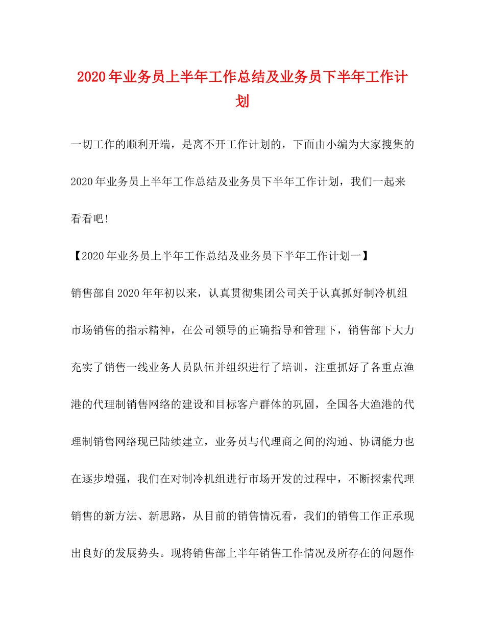 2020年业务员上半年工作总结及业务员下半年工作计划_第1页