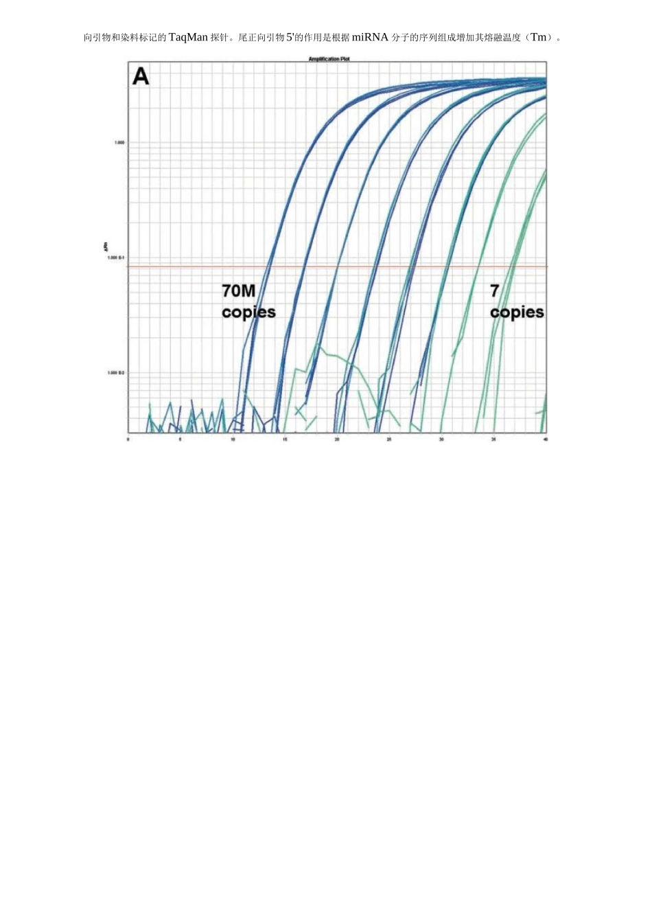 microRNA实时定量茎环RT-PCR的技术_第3页