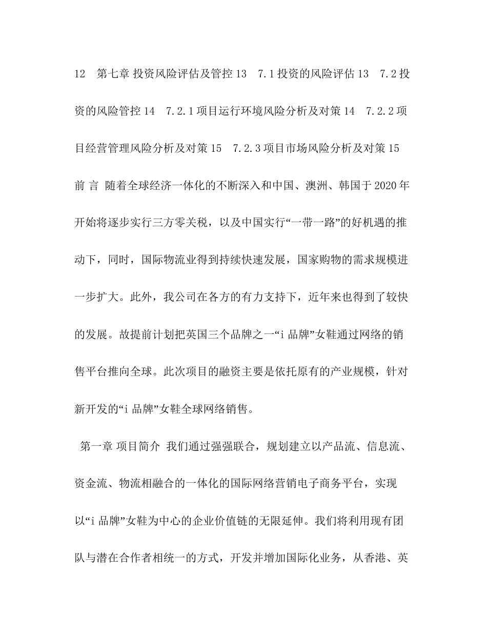 i品牌女鞋全球网络销售项目融资计划书_第2页