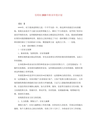 信用社年柜员年度计划