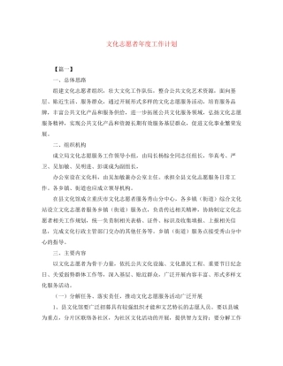 文化志愿者年度工作计划