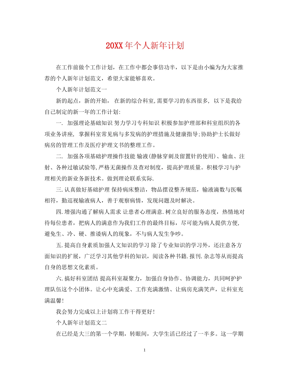 个人新年计划_第1页