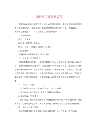 顶岗实习计划怎么写2