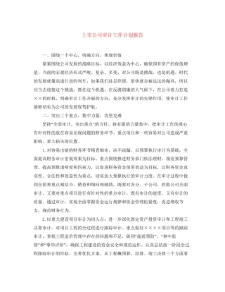 上市公司审计工作计划报告