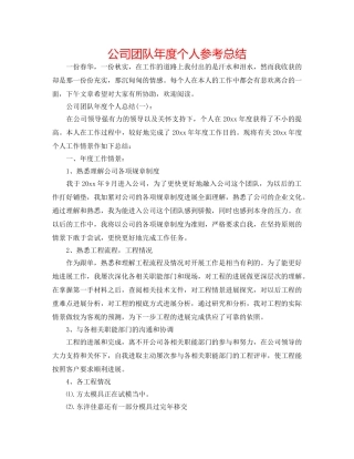 公司团队年度个人参考总结 