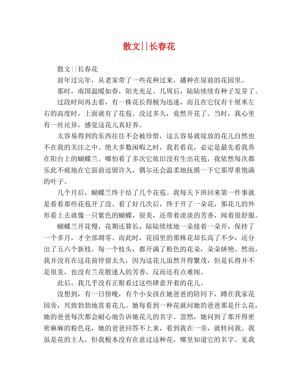 散文--长春花 _第1页