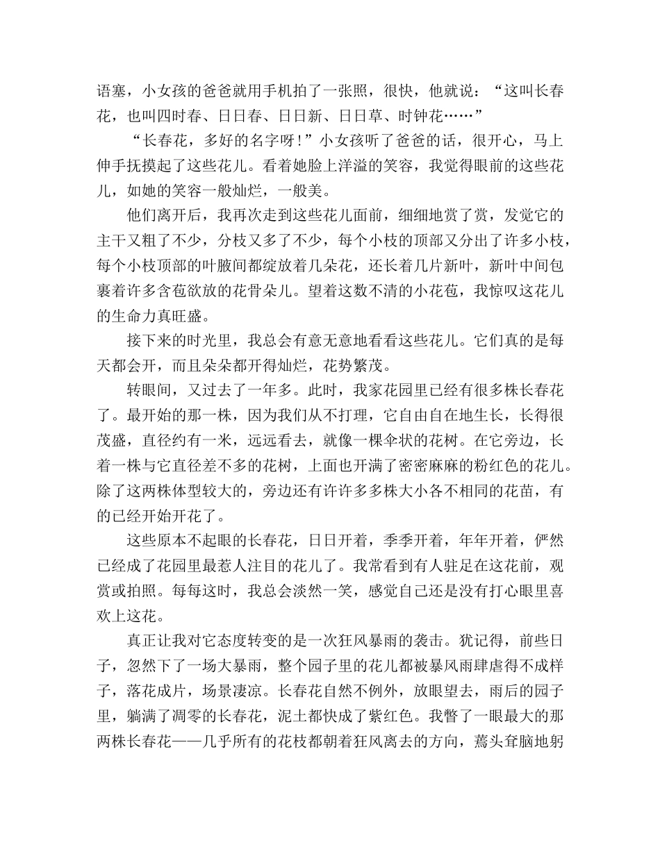 散文--长春花 _第2页