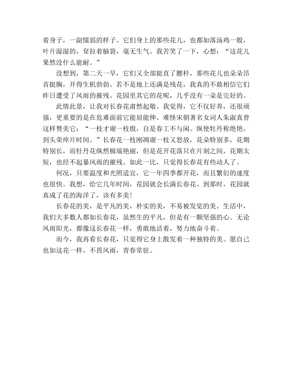 散文--长春花 _第3页
