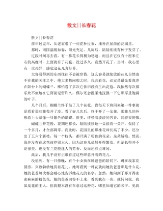 散文--长春花 